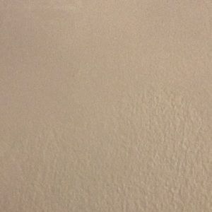 Meet your Posher, Priyanka